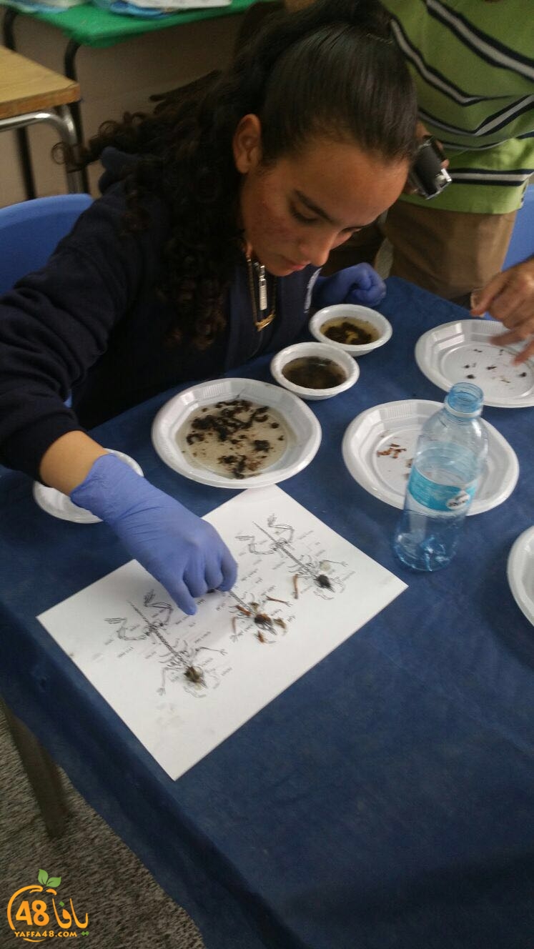 tomashin hlud (9).jpg